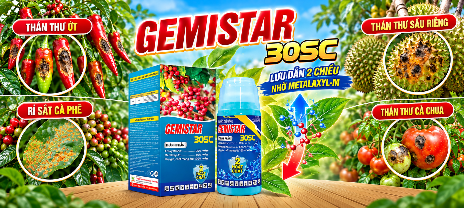 Baner gemista